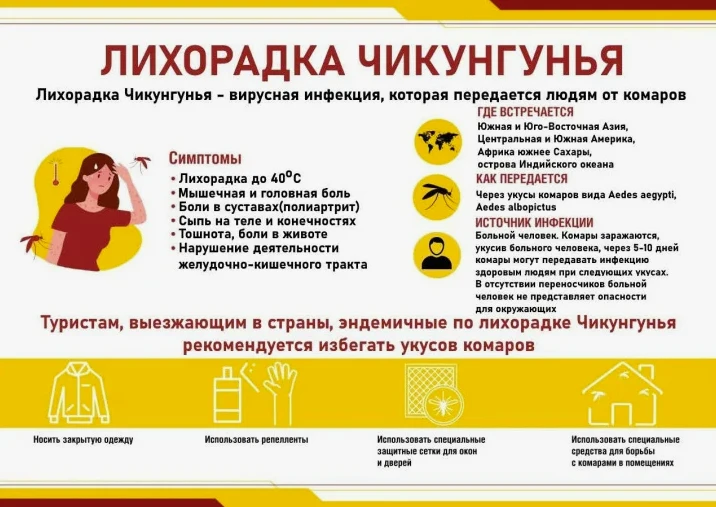 О лихорадках чикунгунья и Зика